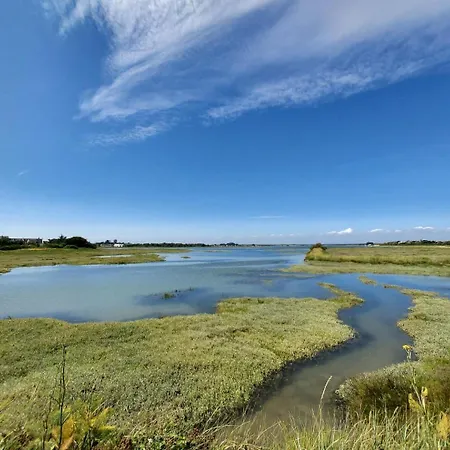 L'avocette * Дамган