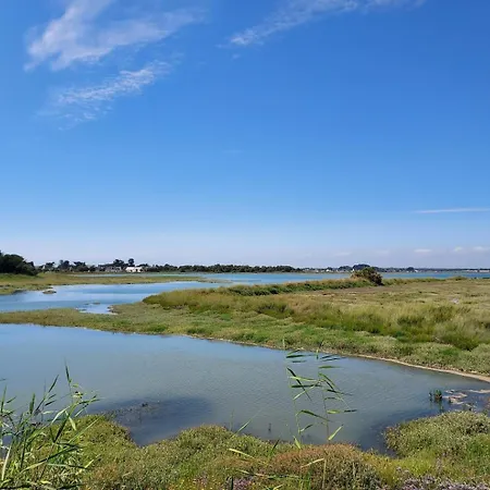 L'avocette * Дамган